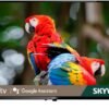 Smart TV SKYWORTH